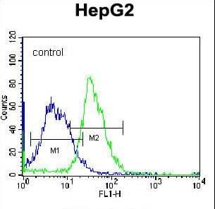 PLEKHH1 Antibody (aa1082-1110)