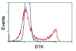 BTK Antibody (clone OTI6H9)