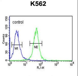 WDR73 Antibody (aa44-73)