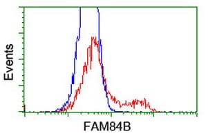 FAM84B Antibody (clone OTI1D12)