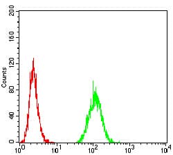 c-Met Antibody (clone 5E9B7)