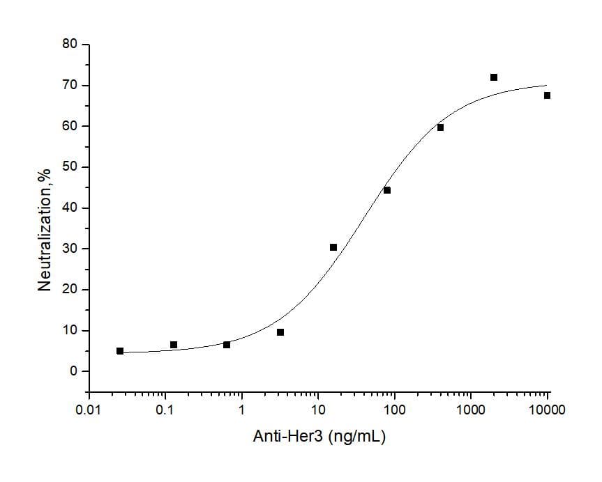 ERBB3 / HER3 Antibody (clone mh908, Preservative Free)