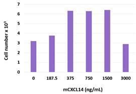 Mouse BRAK / CXCL14 Protein (Recombinant)