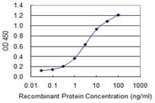 Monoclonal Mouse anti-Human SUMO1 / SMT3 Antibody (clone 3D7, WB)
