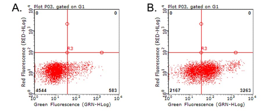 CD274 / B7-H1 / PD-L1 Antibody (clone OTI11G4)
