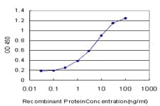 NPY1R Antibody (clone 2G2)