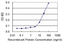 Monoclonal Mouse anti-Human AUH Antibody (clone 2G12, WB)