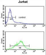 POLD1 Antibody (aa710-739)
