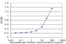 ATP5J Antibody (clone 1F10)