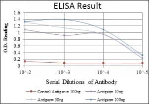 EEF2 / Elongation Factor 2 Antibody (clone 5B6)