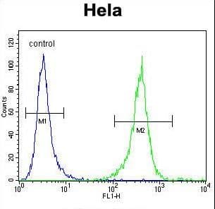 DNAJB6 Antibody (aa218-247)