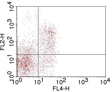 Monoclonal Rat anti-Mouse FR4 / Folate Receptor 4 Antibody (clone TH6)