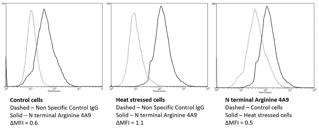 N-terminal Arginine Antibody (clone 4A9, PerCP)