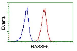 RASSF5 / RAPL Antibody (clone OTI1H2)
