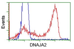 DNAJA2 Antibody (clone OTI1C4)