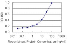 NUCB2 / Nucleobindin 2 Antibody (clone 6H4)
