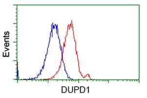 DUPD1 Antibody (clone OTI1F3)