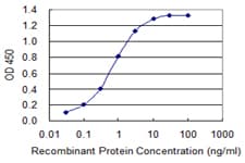 SLC7A1 / CAT1 Antibody (clone 2B9)