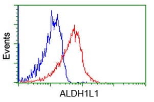ALDH1L1 Antibody (clone 2A6, Carrier-free)