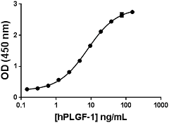 Human PGF / PLGF Protein (Recombinant)