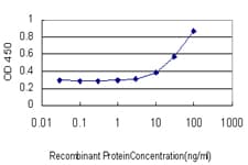 Monoclonal Mouse anti-Human TBX6 Antibody (clone 2D11, IF)