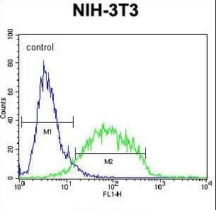 IHC-plus™ GCNT3 Antibody (aa390-418)