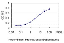 WNK2 Antibody (clone 2E10)
