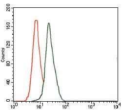 DLL4 Antibody (clone 4A11)