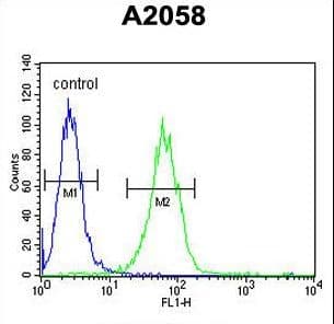 SOX4 Antibody (aa86-114)