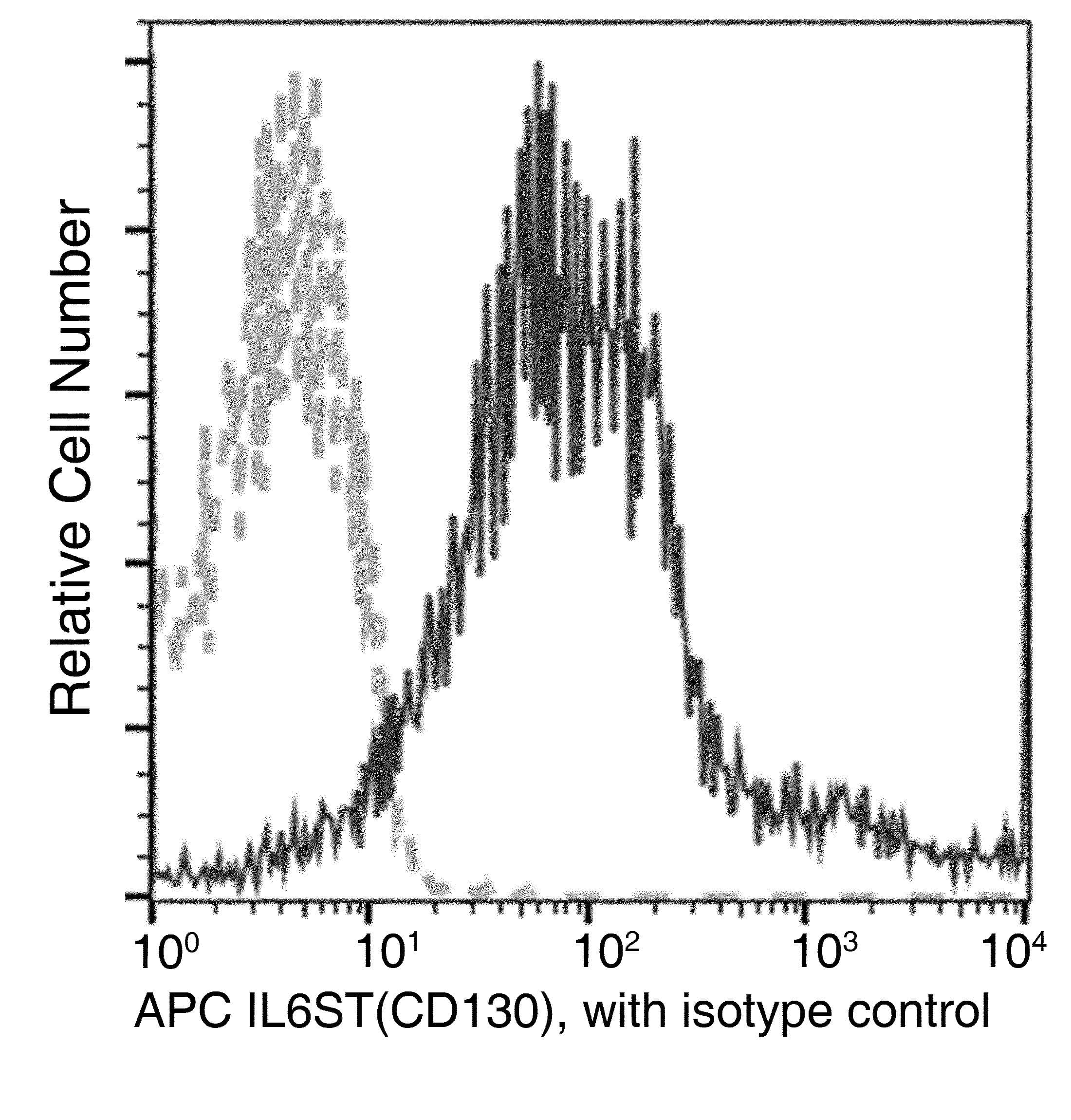 IL6ST / CD130 / gp130 Antibody (clone 022, APC)