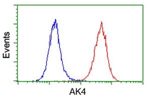 AK4 / Adenylate Kinase 4 Antibody (clone OTI3E1)