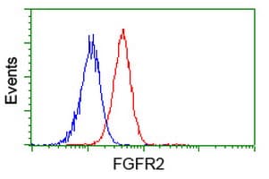 FGFR2 / FGF Receptor 2 Antibody (clone OTI4D6)