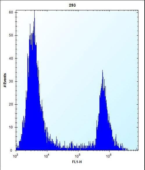 ANGPTL7 / CDT6 Antibody (aa315-346)