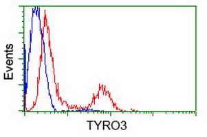 TYRO3 Antibody (clone OTI9B12)
