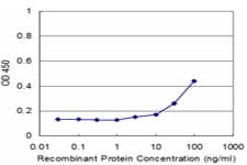 Monoclonal Mouse anti-Human UCP1 / UCP-1 Antibody (clone 4B7, WB)