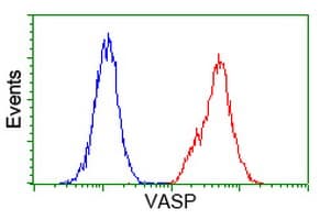 IHC-plus™ VASP Antibody (clone 4D6)