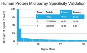 PMEL / SILV / gp100 Antibody (clone PMEL/2037, Azide-free, BSA-free)