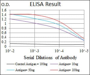 Monoclonal Mouse anti-Human ALCAM / CD166 Antibody (clone 8E12C7, aa48-216, IHC, IF, WB)