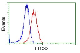 TTC32 Antibody (clone OTI1F7)