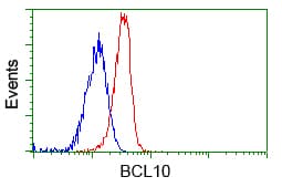 BCL10 / BCL-10 Antibody (clone OTI4A8, Carrier-free)