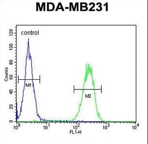PRSS3 / Trypsin 3 Antibody (aa13-40)