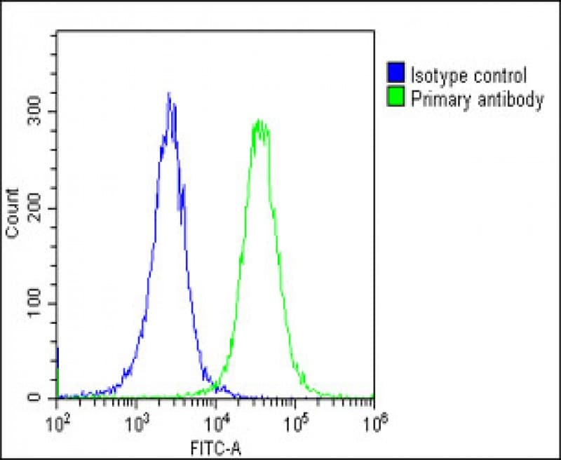 MLC3F / MYL1 Antibody (Internal)