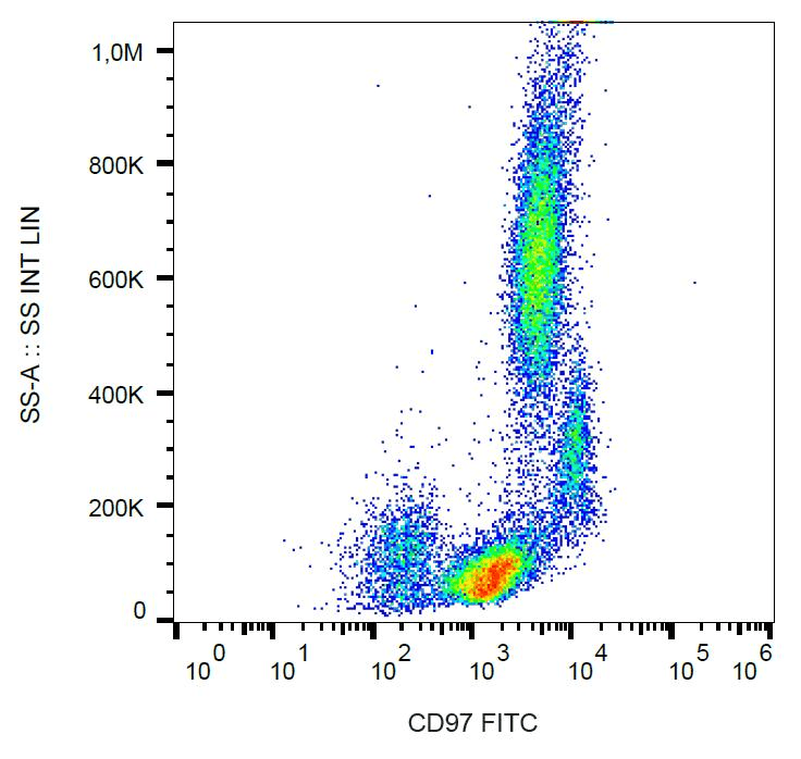 Monoclonal Mouse anti-Human ADGRE5 / CD97 Antibody (clone MEM-180, FITC)