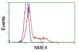 NME4 Antibody (clone OTI3H10, Carrier-free)