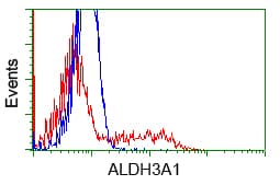 Monoclonal Mouse anti-Human ALDH3A1 Antibody (clone OTI1C6, IHC, IF, WB)