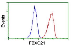 FBXO21 Antibody (clone OTI3C11, Carrier-free)