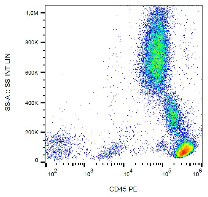 Monoclonal Mouse anti-Human CD45 / LCA Antibody (clone MEM-28, PE, IHC, WB)