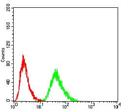 ETF1 / ERF1 Antibody (clone 4F9H12)