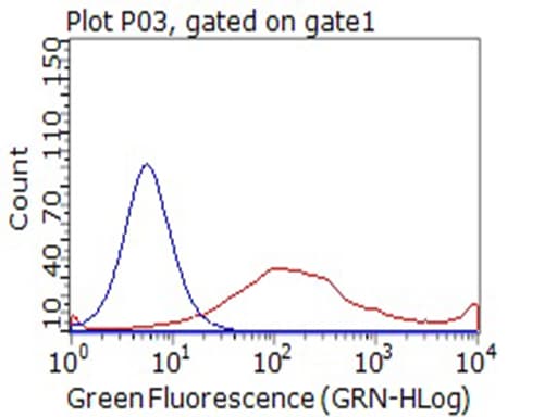 Monoclonal Mouse anti-Human CD80 Antibody (clone OTI1A10, WB)