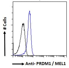 IHC-plus™ Polyclonal Goat anti-Human BLIMP1 / PRDM1 Antibody (aa698-711, IHC, IF, WB)